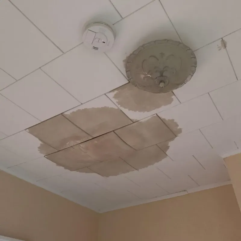 Ceiling Water Damage Repair in Sumter County, AL