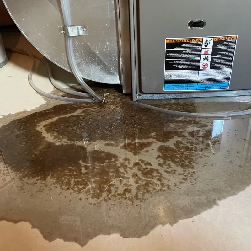 Pipe Burst and Leak Restoration in Sumter County, AL