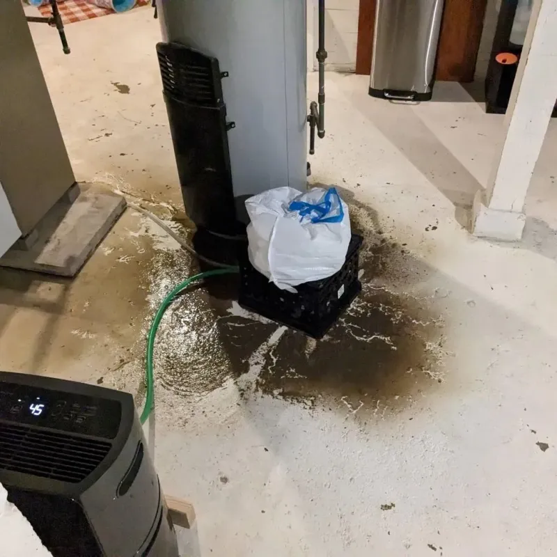 Sewage Backup Cleanup Service in Sumter County, AL